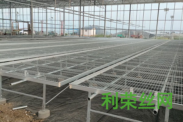 移動苗床圖片2