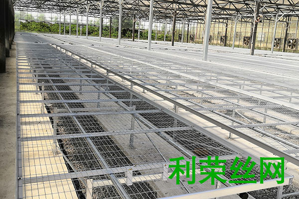 移動苗床圖片4